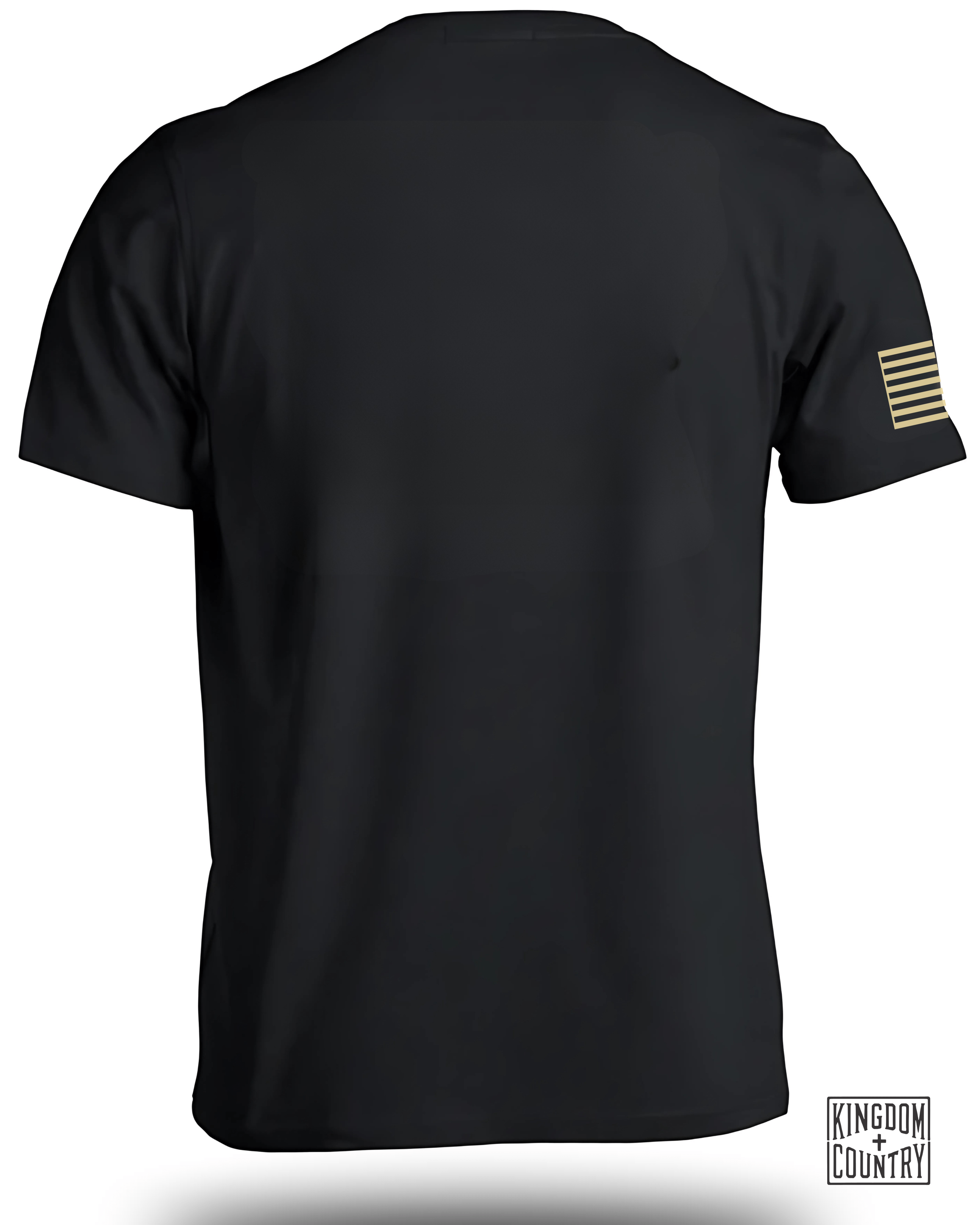 Patriotic Eagle Isaiah 40 31 T-Shirt